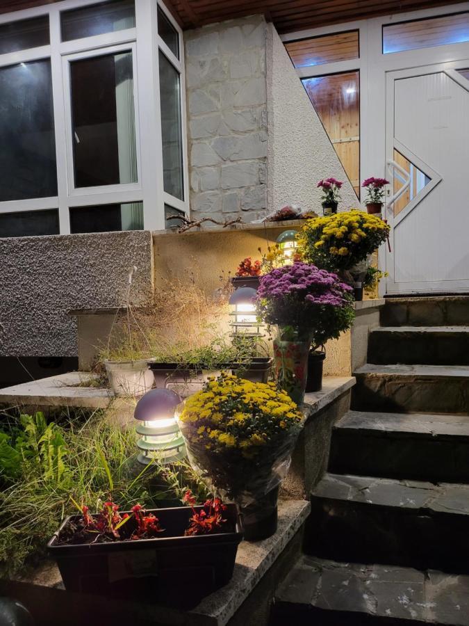 Casa Rustic Azuga Luaran gambar